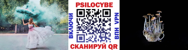 Псилоцибиновые грибы Psilocybine cubensis  купить наркоту  Тбилисская 